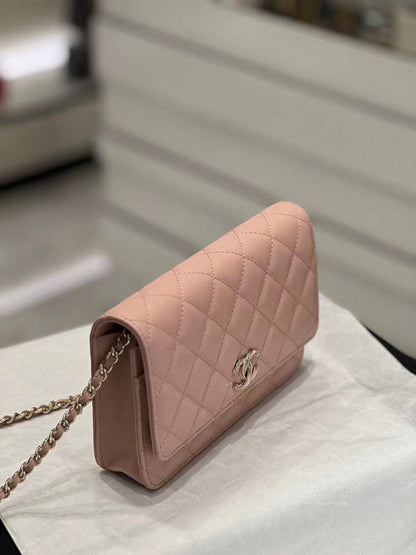 Chanel Bags