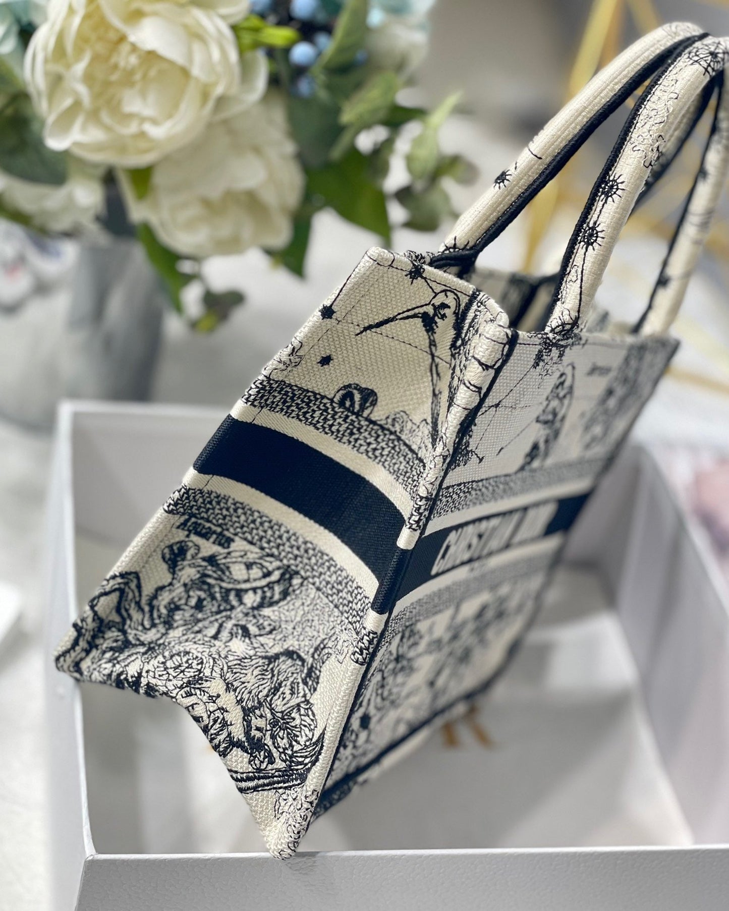 DIOR BOOK TOTE