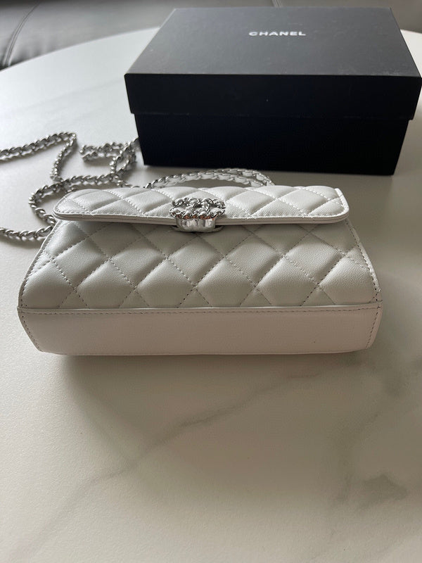 Chanel Bags